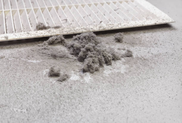 Best Ventilation Cleaning Services  in Mcewen, TN