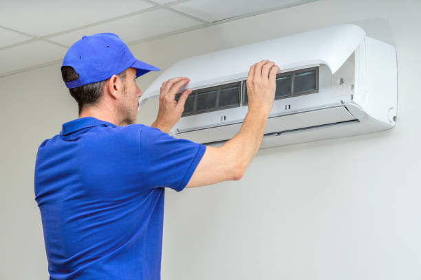 Best Professional Duct Cleaning Services  in Mcewen, TN