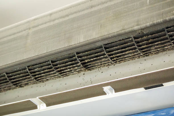 Best Affordable Duct Cleaning Services  in Mcewen, TN